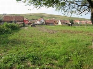 update – tânărul din şura mare care şi-a violat mama, băgat în arest pentru 29 de zile