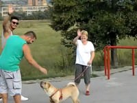 video: oamenii aud voci pe pasarelă – vezi un video senzaţional!