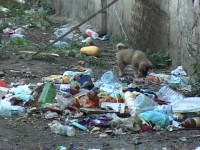 video: pe tineretului au reapărut mormanele de gunoaie, vecinii sunt disperaţi!