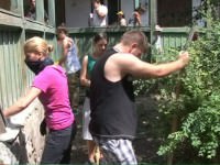 sinagoga mediaş asaltată de zeci de voluntari | video