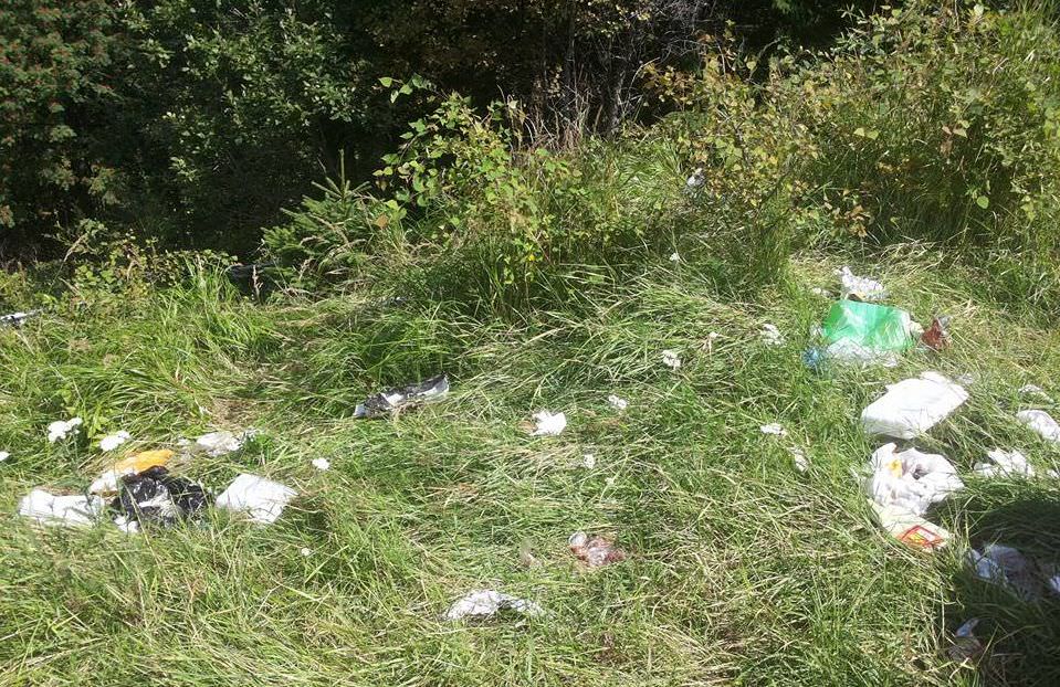foto – potecile și drumurile din păltiniș și zona bâlea, sufocate de gunoaie. salvamontul confirmă!
