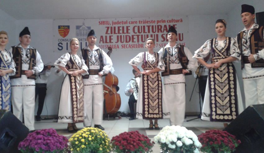 consiliul judeţean sibiu finanţează proiecte culturale şi sportive. care sunt criteriile de selecţie