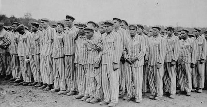 victimele holocaustului comemorate la sibiu printr-o expoziție specială