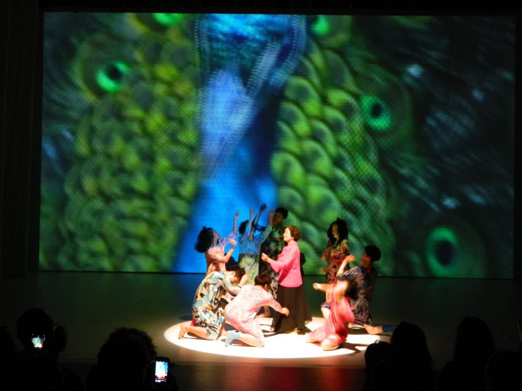FOTO/VIDEO - Flamenco, tobe, culorile Columbiei, Bolero pe ritmuri tribale și bunicuțe dansatoare ieri la FITS! foto/video - flamenco, tobe, culorile columbiei, bolero pe ritmuri tribale și bunicuțe dansatoare ieri la fits!