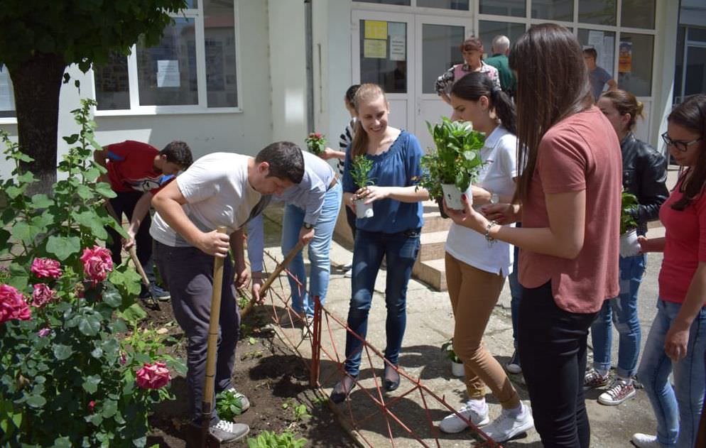 studenţii şi elevii plantează în campania iubim sibiul, să-l lăsăm să respire!