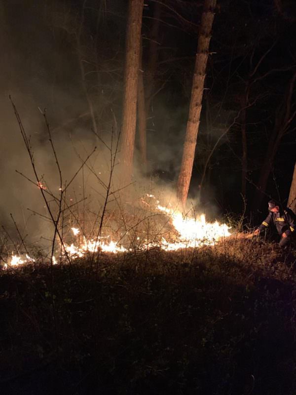 foto incendiu în pădure la buia - șase hectare au ars