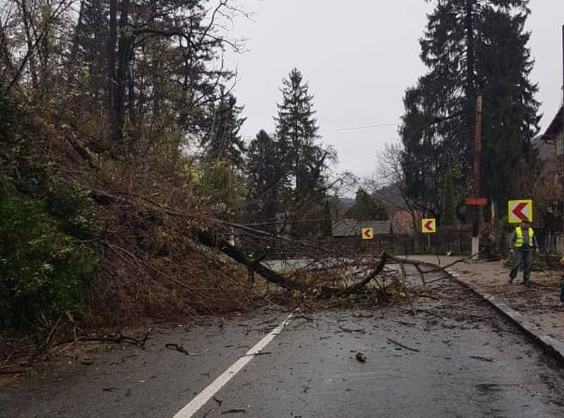 foto copaci căzuți pe valea oltului - trafic deviat în zonă