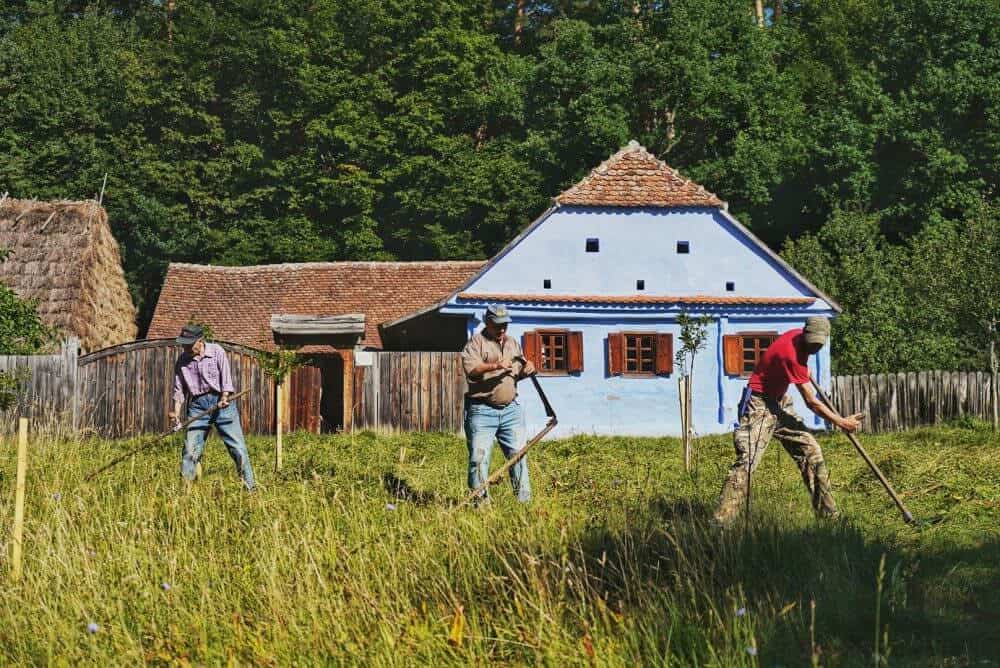 succes pentru atelierul de cosit la muzeul în aer liber - sibienii atrași de idee
