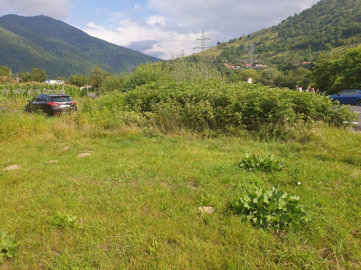 accident cu patru răniți pe valea oltului - o mașină a ieșit în afara drumului