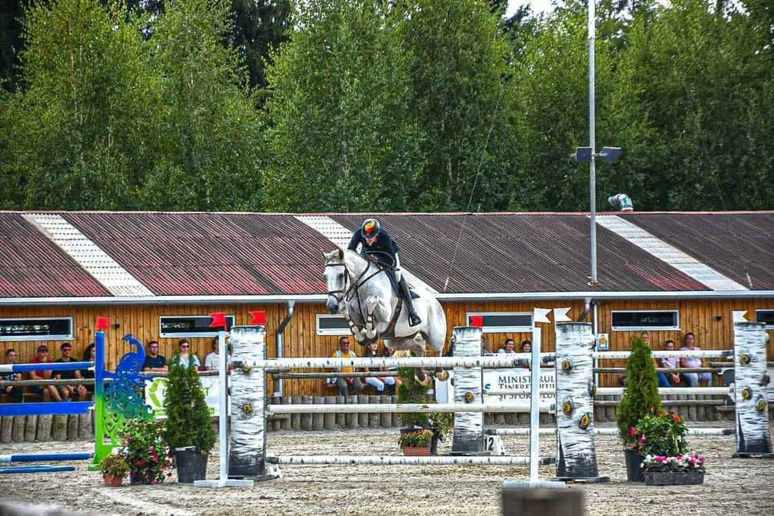 Sibienii Ionel și Daniel Bucur, pe podium la Campionatul Național de Echitație - ”A fost o finală grea” sibienii ionel și daniel bucur, pe podium la campionatul național de echitație - ”a fost o finală grea”