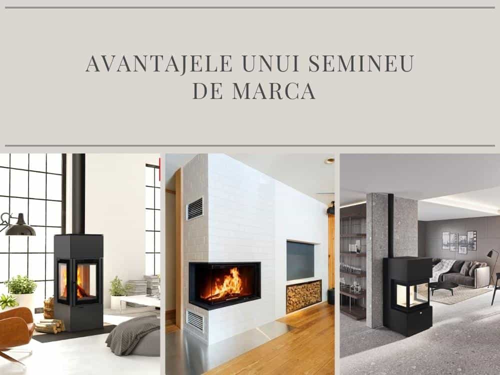 de ce e important sa achizitionezi un semineu de marca pentru casa ta?