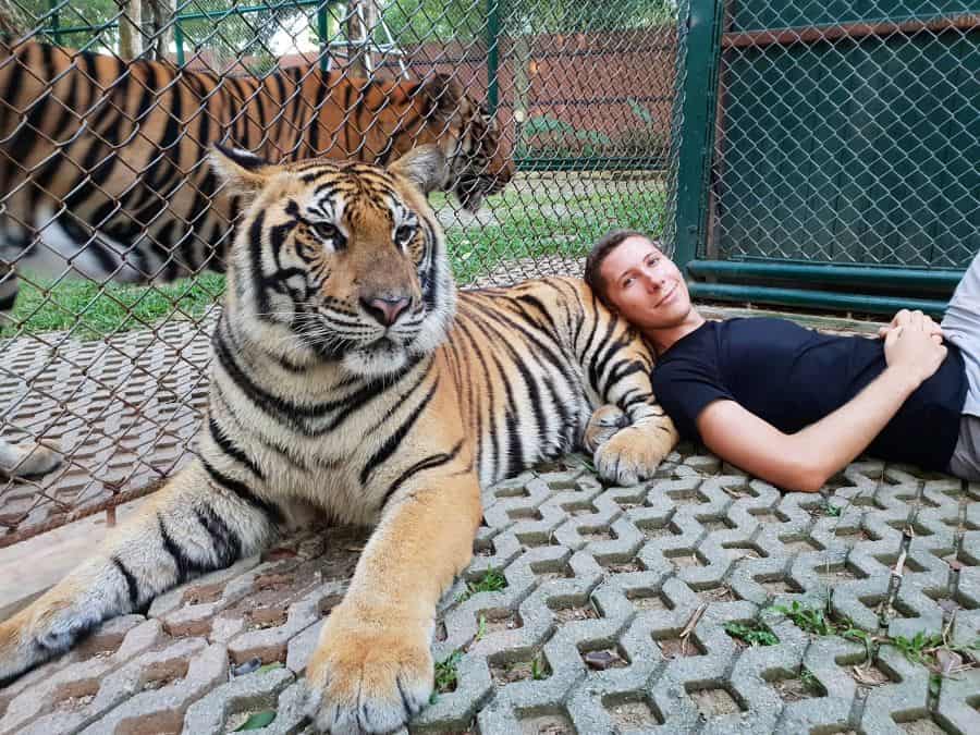 video foto - sibianul milionar la 26 de ani - vlad stoica s-a îmbogățit din cryptomonede și are un bolid de peste 250.000 euro