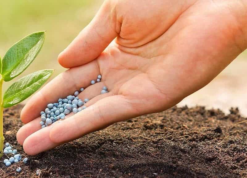 producătorii de îngrăşăminte şi-au redus activitatea din cauza preţului la gaze - vom avea alimente mai puţine în acest an