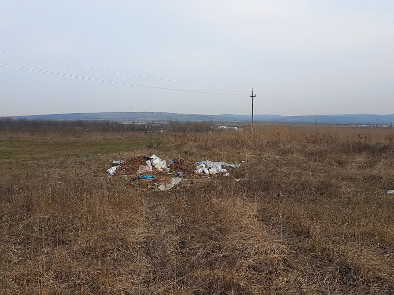 închisoare de până la cinci ani pentru sibienii care ard sau aruncă gunoiul în locuri interzise - ce trebuie să faceți dacă aveți deșeuri voluminoase