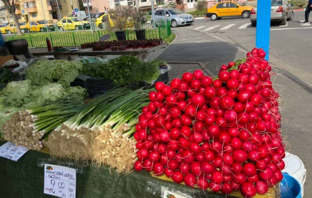 piețele din sibiu sunt pline de culoare - prima recoltă de roșii și castraveți românești a ajuns în piața rahova