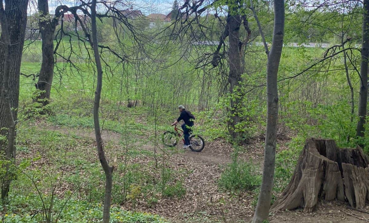 video: individ surprins când se masturba în parcul sub arini - „a venit spre mine”