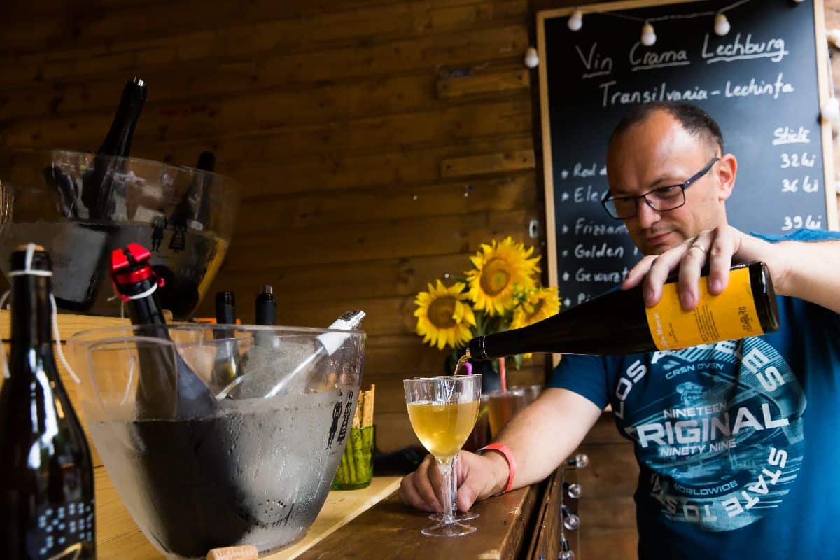 Galerie foto din Muzeul Astra -Vinfest 2022 în imagini galerie foto din muzeul astra -vinfest 2022 în imagini