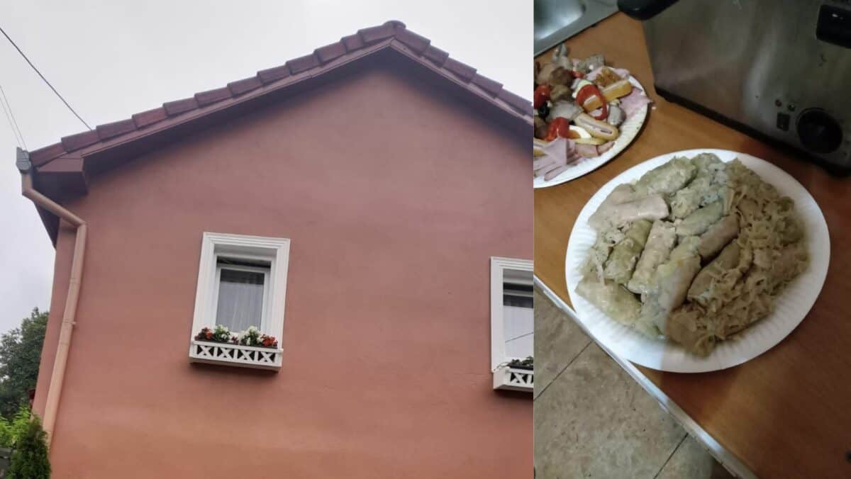 video nuntă cu scandal în orlat - sarmalele nu au ieșit la numărătoare