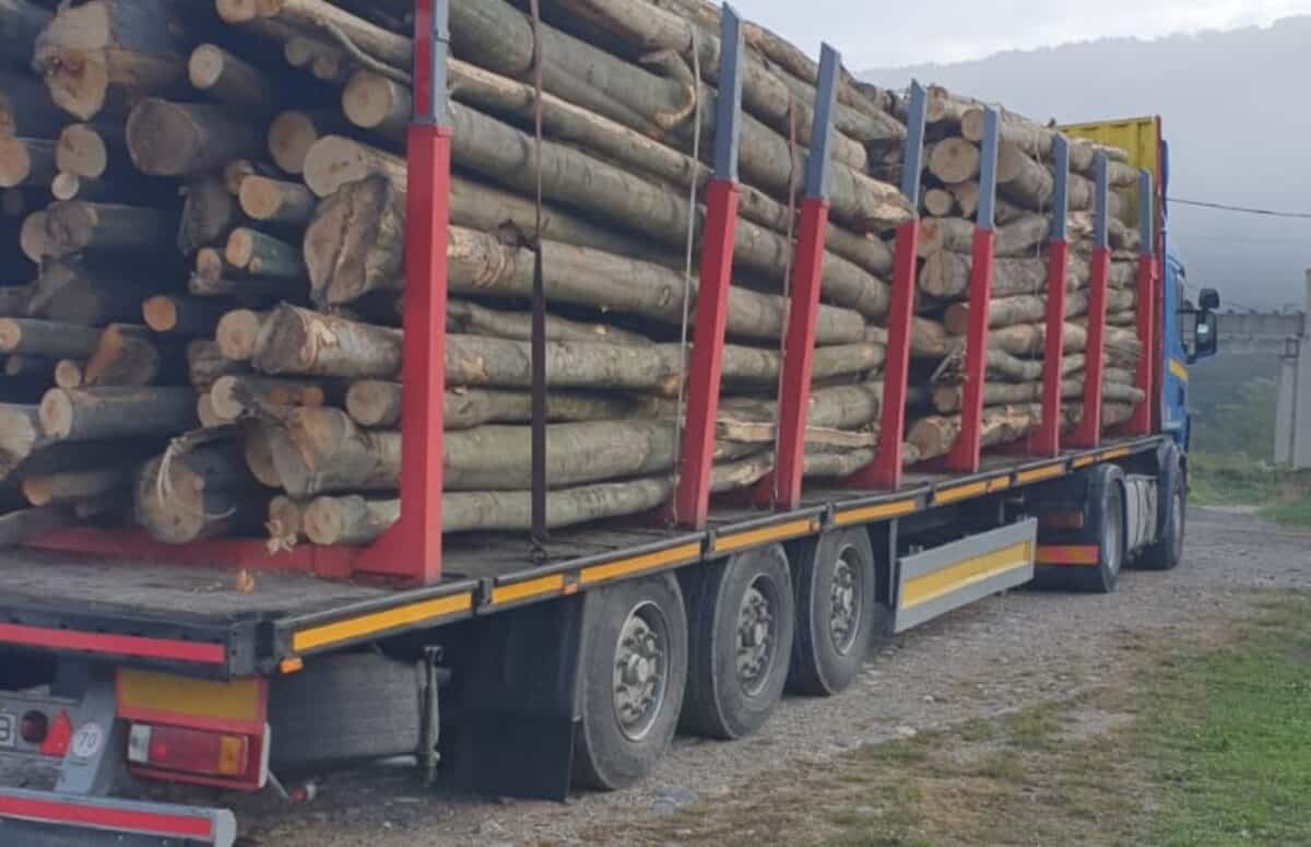 contravențiile silvice vor fi publicate online - ministrul mediului: ”cel mai complex sistem de urmărire a transportului de lemn”