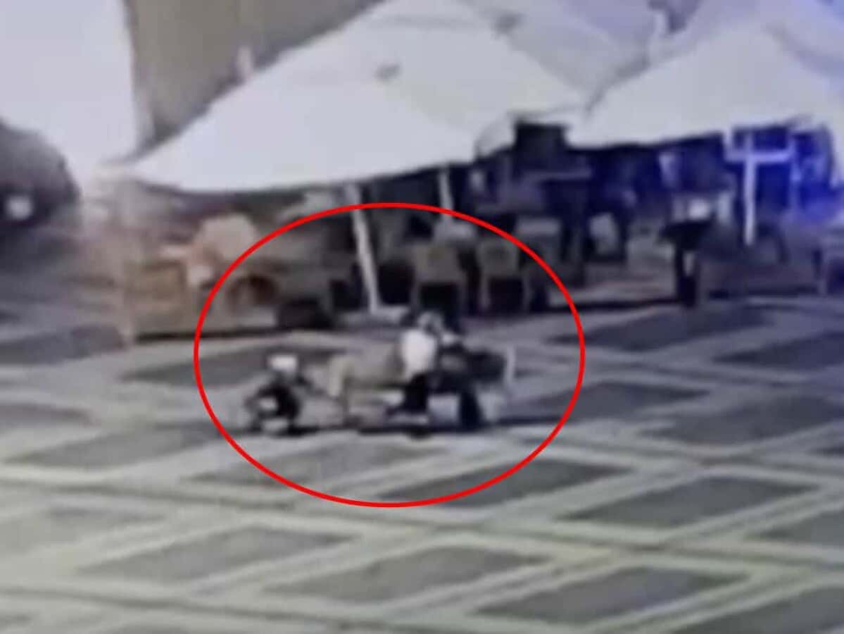 update video: hoț de telefoane, prins de poliția locală în centrul sibiului