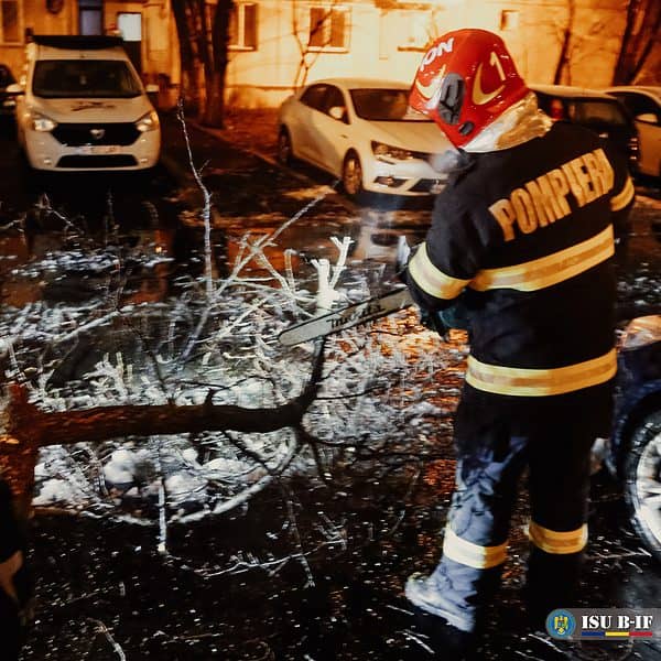 FOTO Viscolul a făcut ravagii în Capitală - Aproape 40 de mașini avariate din cauza copacilor căzuți foto viscolul a făcut ravagii în capitală - aproape 40 de mașini avariate din cauza copacilor căzuți