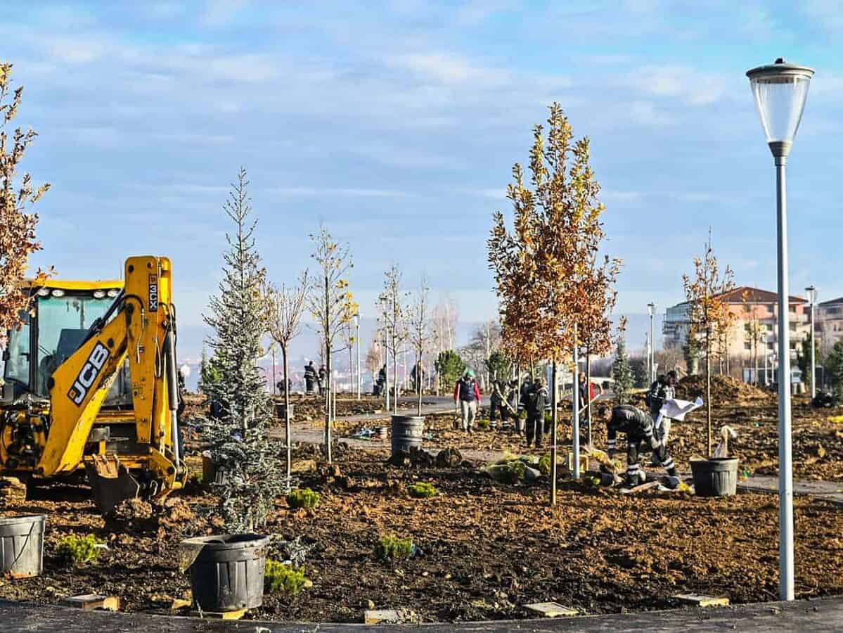 concurs de idei pentru denumirea celui mai nou parc al sibiului
