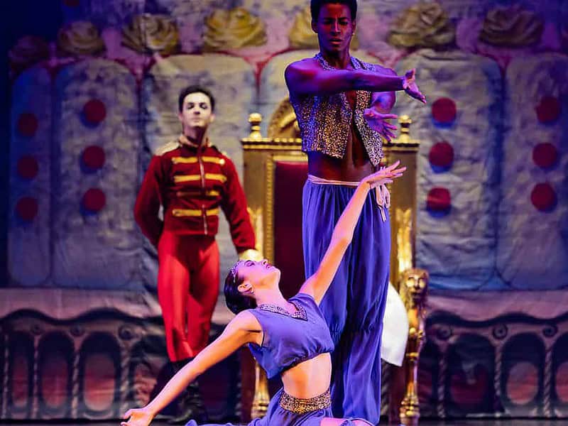 weekend perfect la teatrul de balet sibiu - peste 1.500 de spectatori au asistat la spectacolele programate