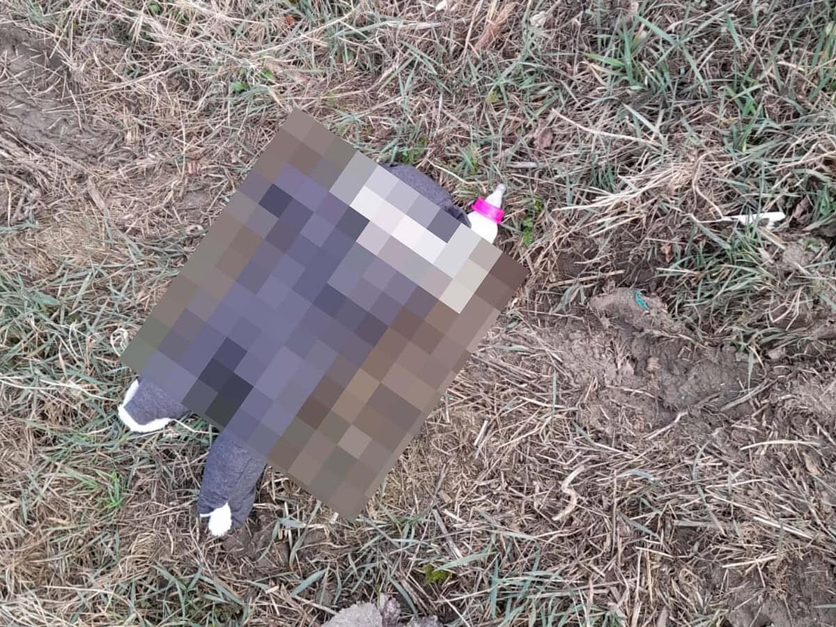 video: bebeluș abandonat pe un câmp de lângă șeica mare - primar: „l-am găsit la timp, e în viață”