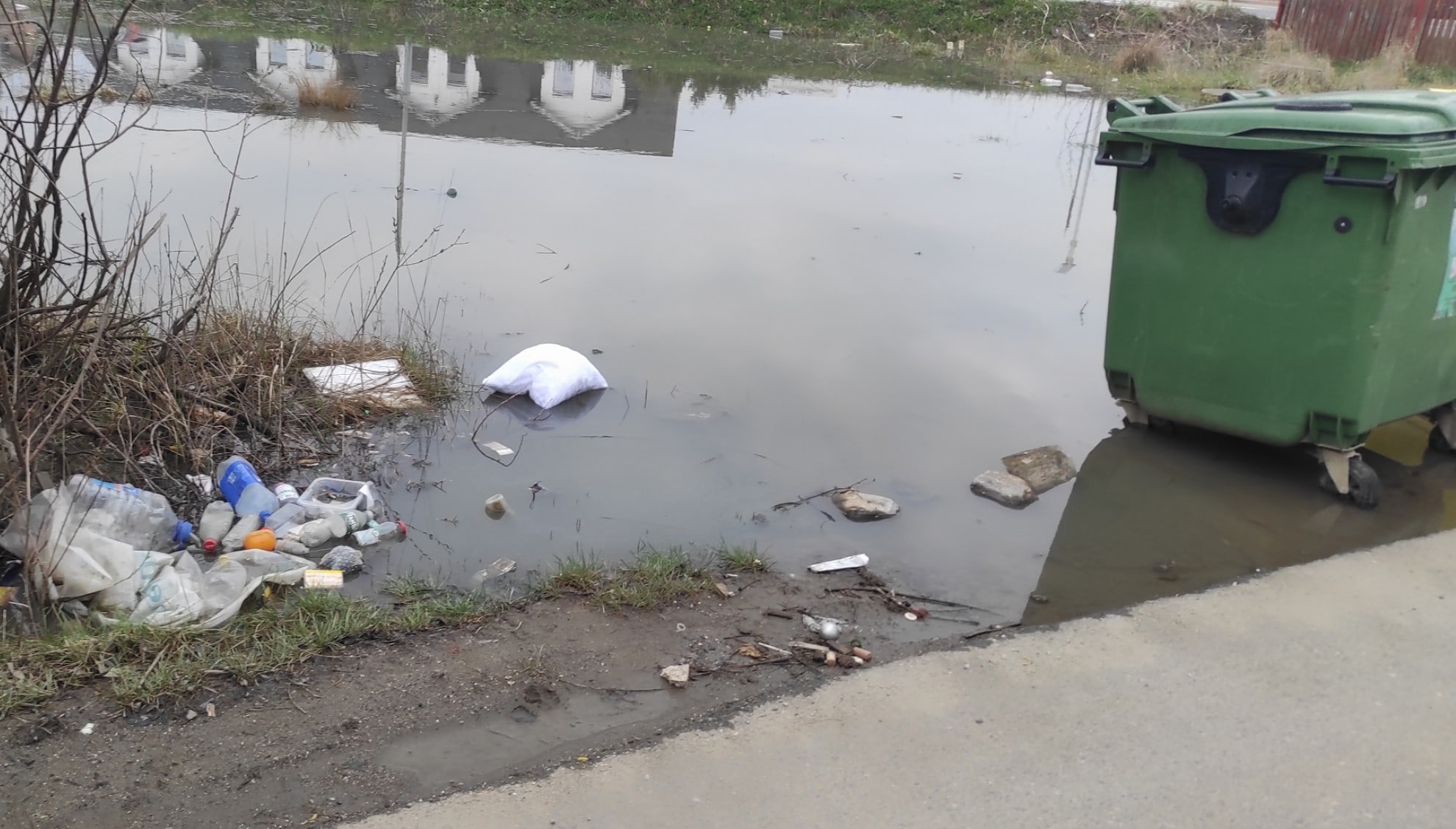 foto: imagini dezolante din cartierul arhitecților - tomberoanele plutesc într-o baltă - „seara cântă broaștele acolo”