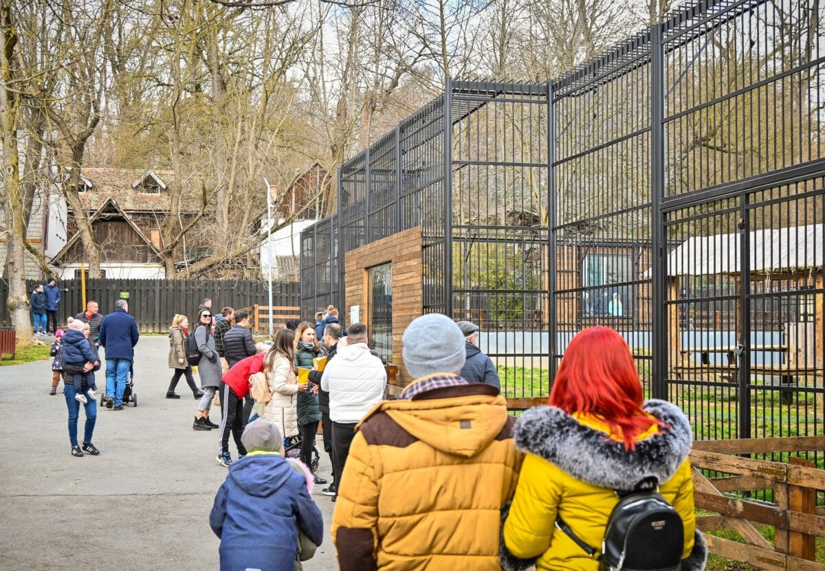 magazin de suveniruri la zoo sibiu. mâncare și pistoale de jucărie, printre produsele interzise la vânzare