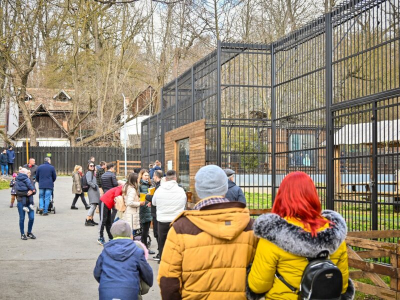 magazin de suveniruri la zoo sibiu. mâncare și pistoale de jucărie, printre produsele interzise la vânzare