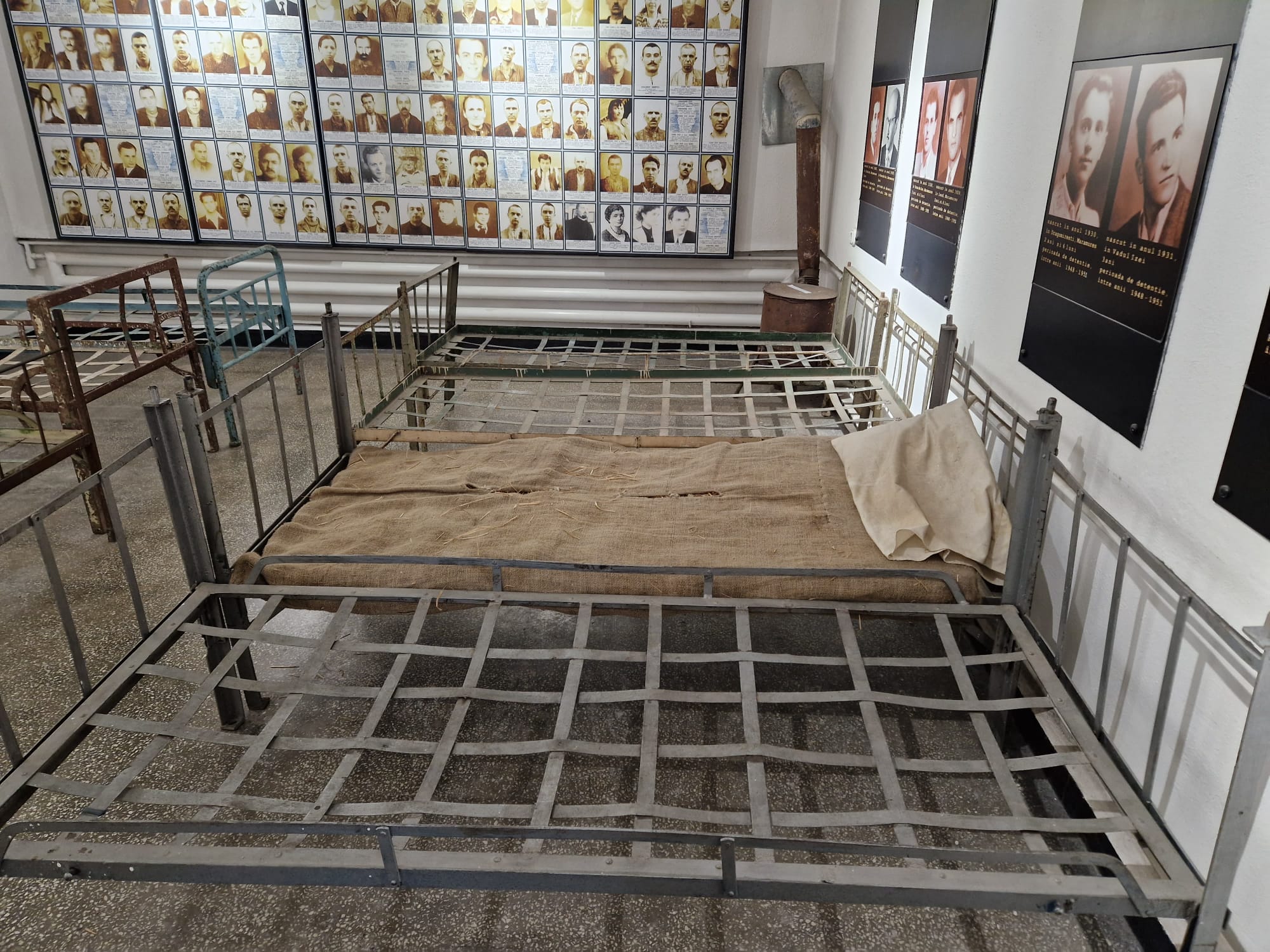 pnl sibiu - ”ziua pnl este și ziua în care sărbătorim amintirea celor ce și-au dat viața pentru crezul liberal” (c.p)