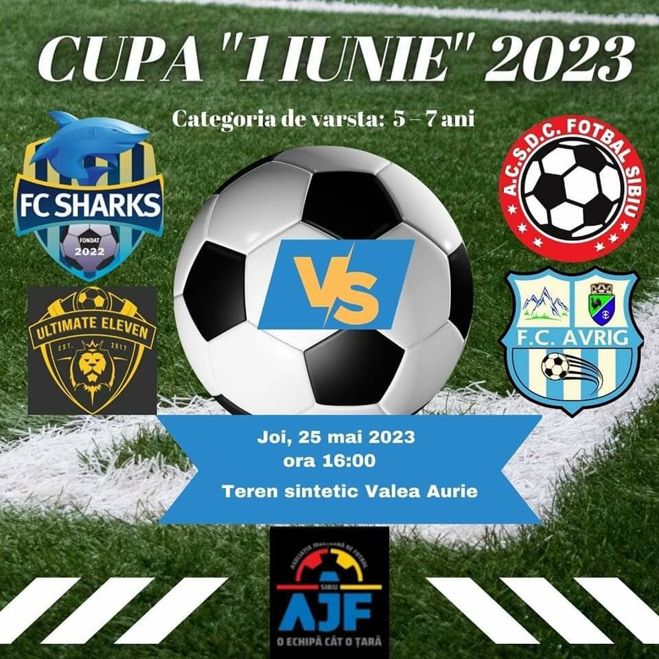 mini-campionate de fotbal și baschet în sub arini de 1 iunie - intrare liberă pentru toți sibienii de la 0 la 100 de ani