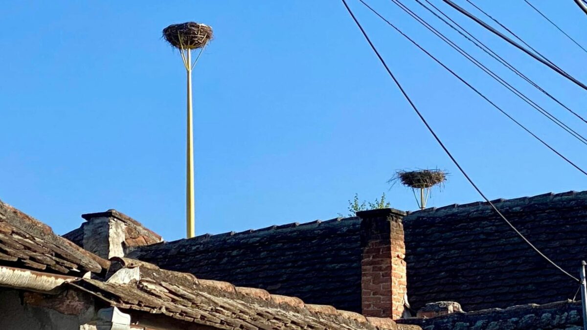 foto cuiburi pentru berze, construite de un bărbat la poplaca - așteaptă primele exemplare
