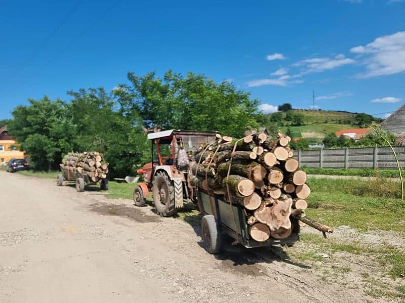 sibieni prinși cu lemne furate la vurpăr - au fost amendați cu 1.000 de lei fiecare