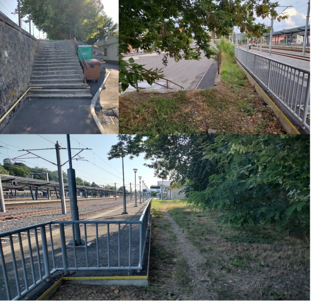 Experiment civic la Mediaș: Față-n față cu Consilierii Locali experiment civic la mediaș: față-n față cu consilierii locali