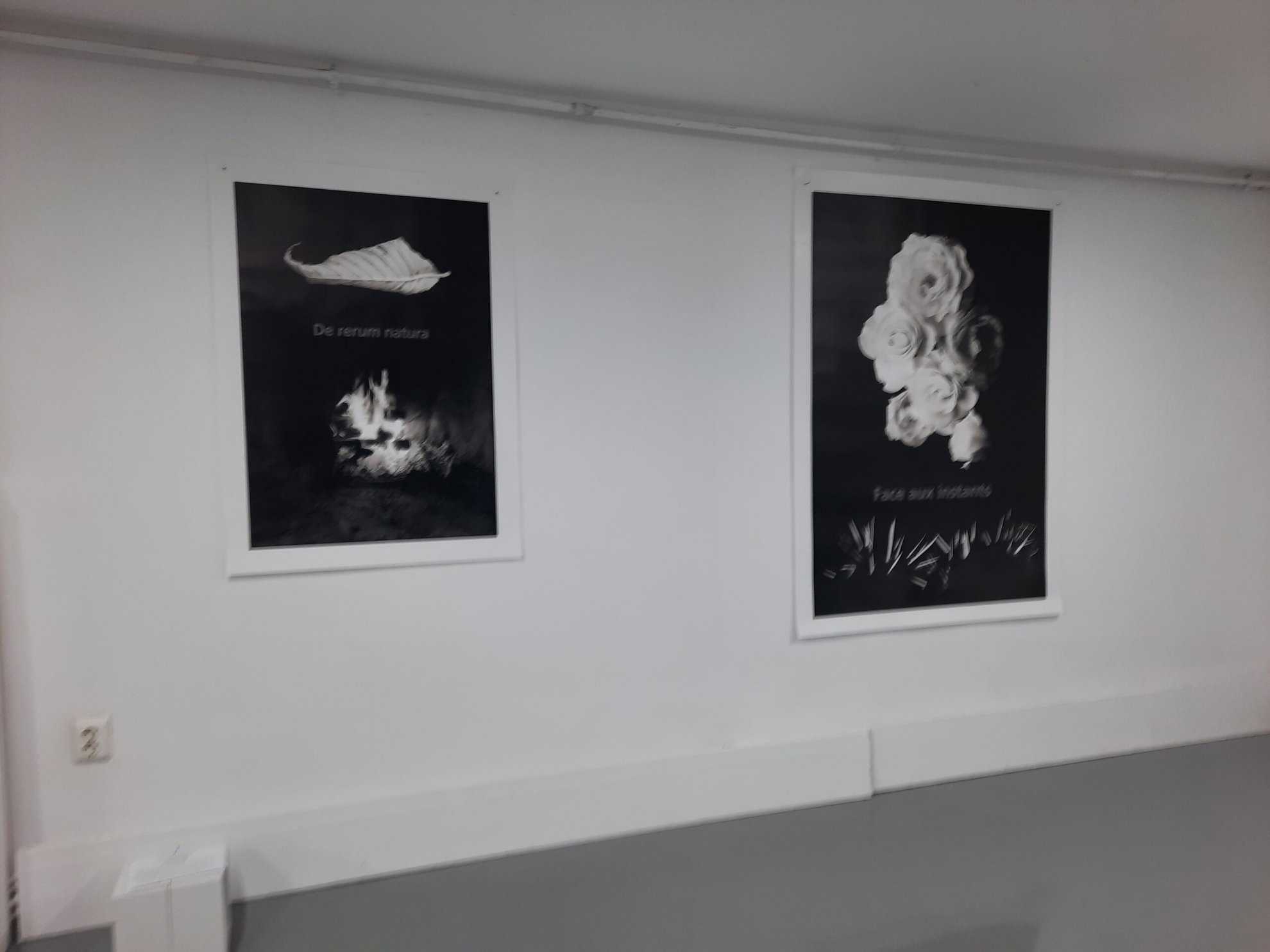 galerii, artiști și povești: descoperă magia nopții albe a galeriilor la sibiu