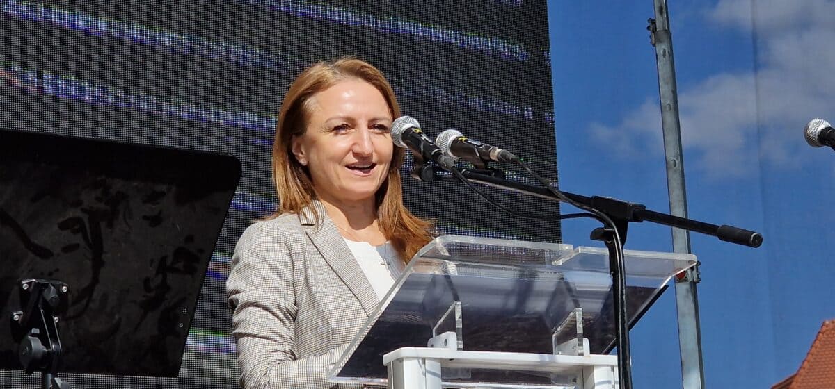 daniela cîmpean anunţă investiţii istorice la consiliul judeţean: 1,41 miliarde de lei şi 60 de proiecte în toate domeniile