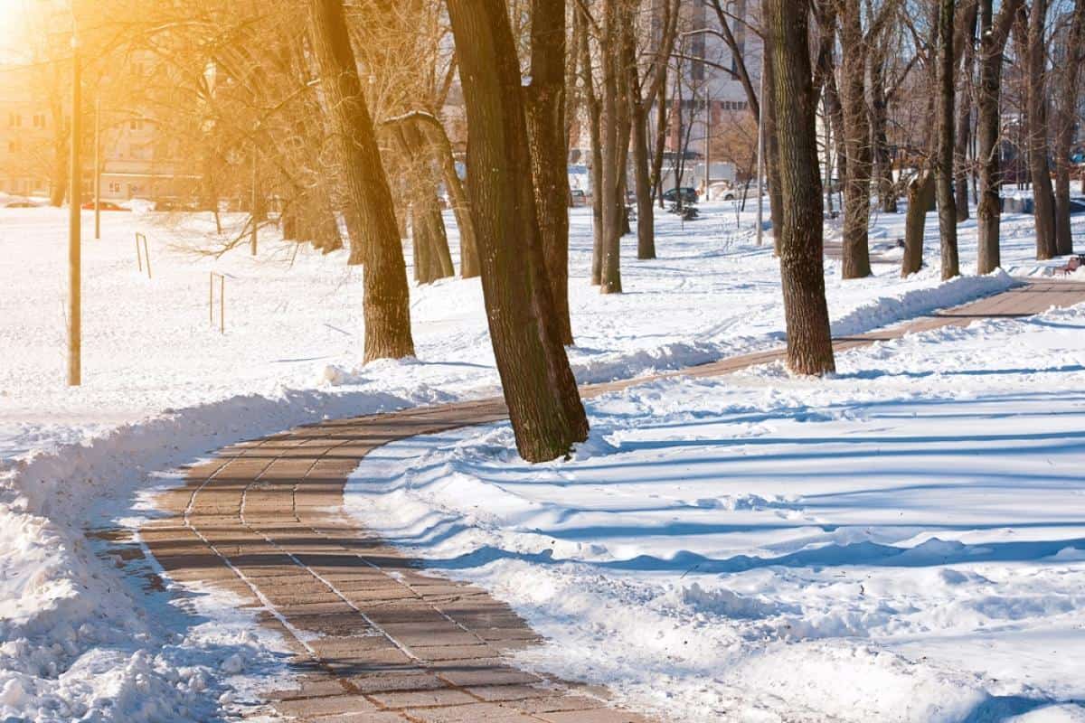 prognoza pe 2 săptămâni: vremea se încălzește din weekend