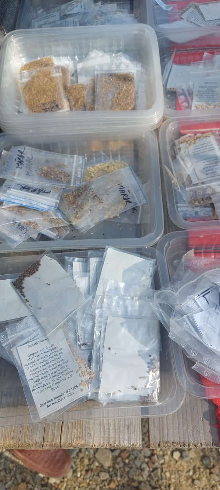 Târgul de semințe, luat cu asalt de sibieni. La mare căutare, cele de roșii bătrânești (foto) târgul de semințe, luat cu asalt de sibieni. la mare căutare, cele de roșii bătrânești (foto)