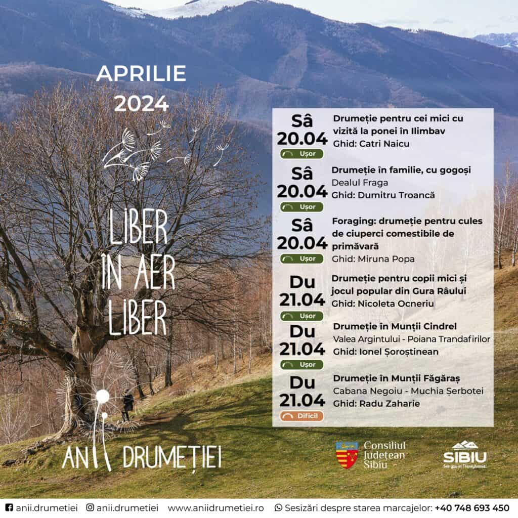 weekend ”aglomerat” la sibiu. mega petrecerea de deschidere de la backyard și meciurile de pe municipal și sala transilvania, atracțiile principale