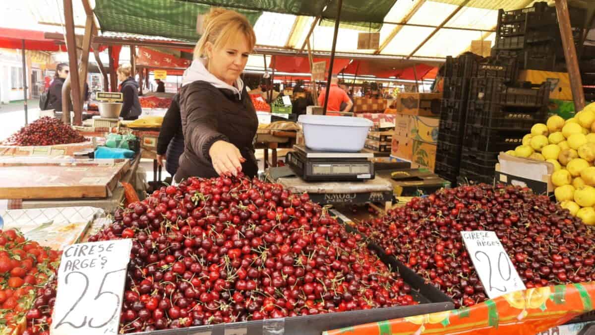cireșe de vrancea și argeș la 25 de lei kilogramul în cea mai mare piață din sibiu (foto)
