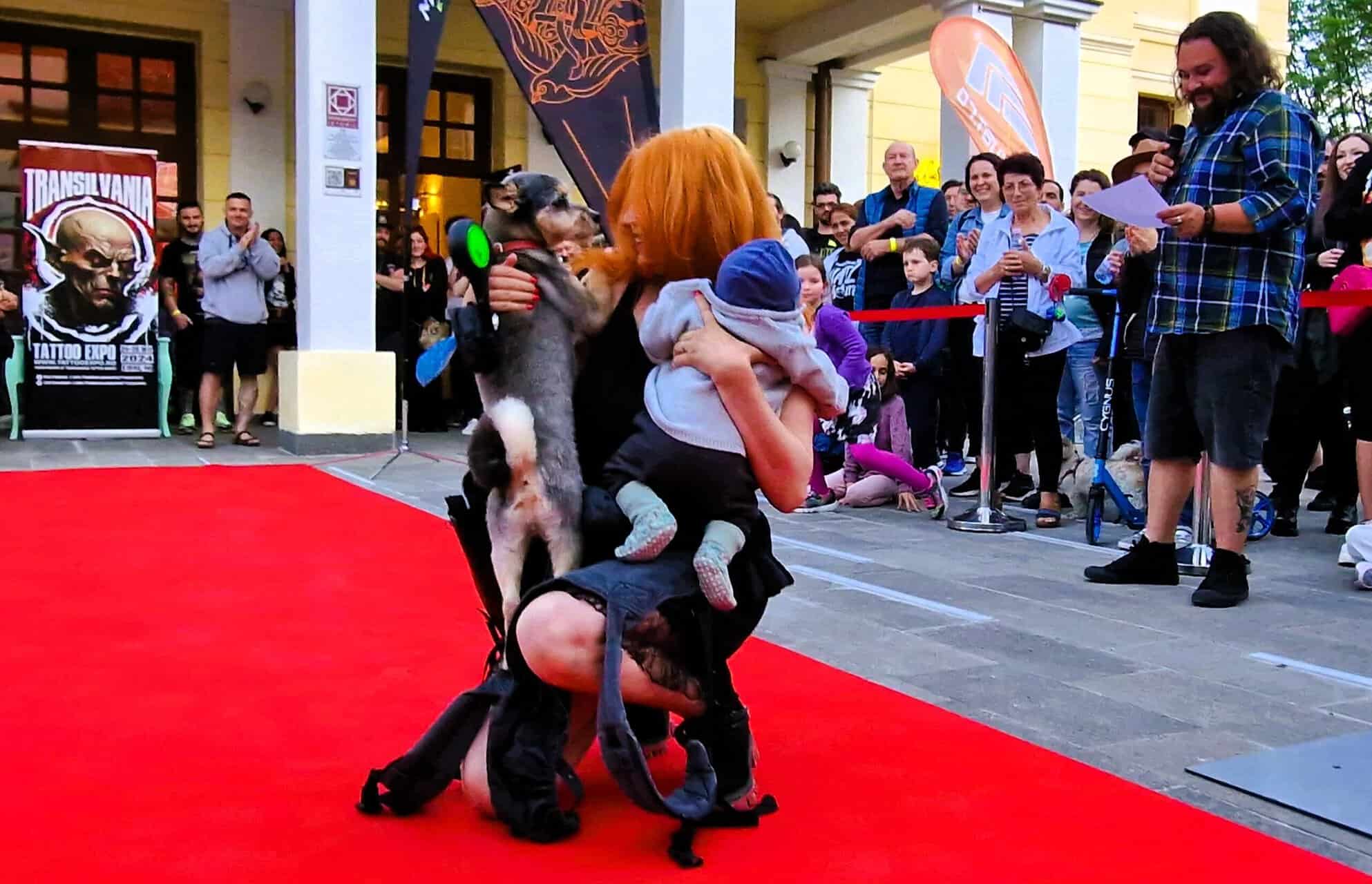 țuchi, un căţel abandonat în judeţul sibiu, a ajuns vedetă în reclame din sua și a câștigat o paradă cu 200 de câini la transilvania tattoo expo (foto)