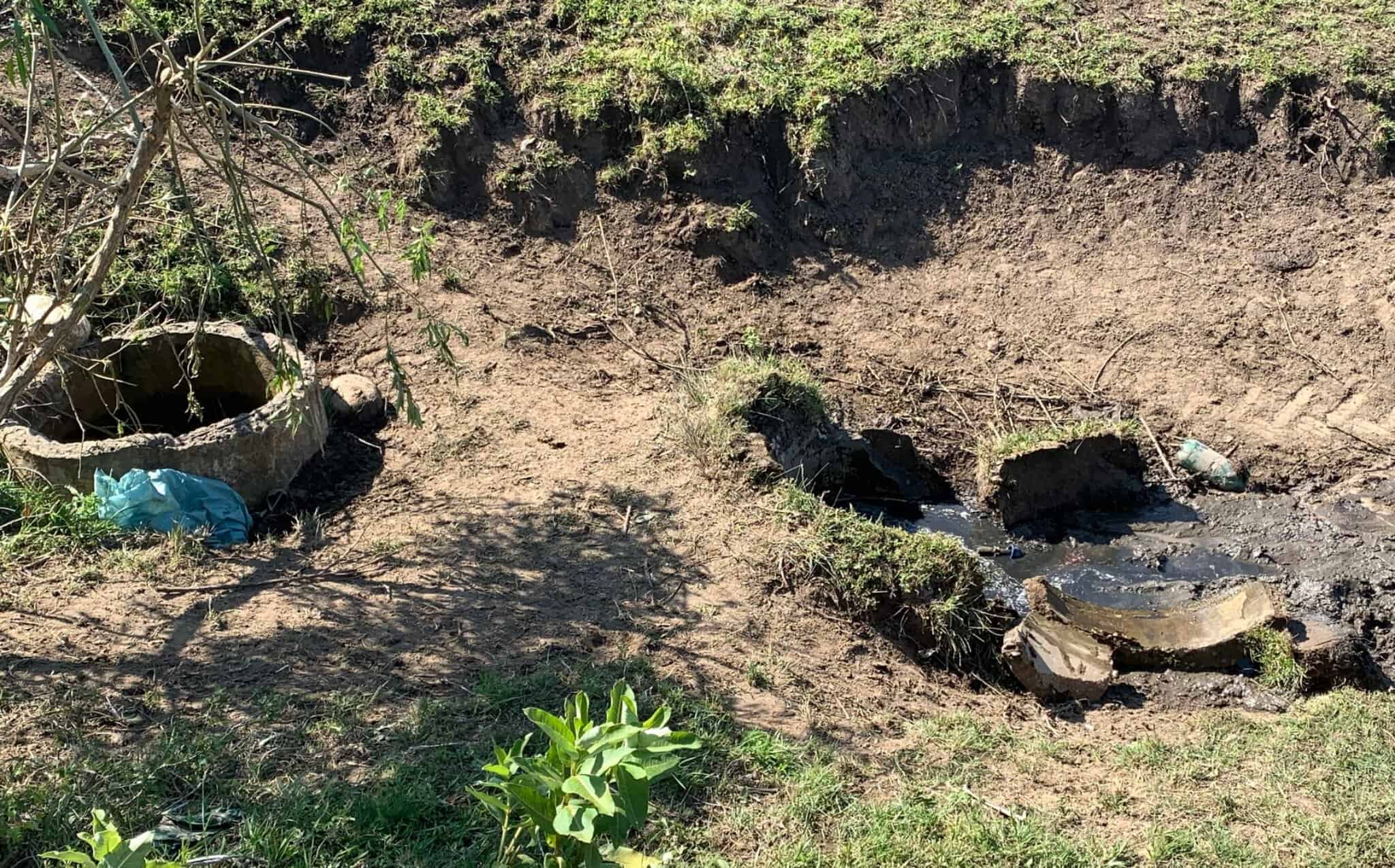 taur de 400 kilograme, mort după ce a căzut într-o fântână pe pășune în buzd