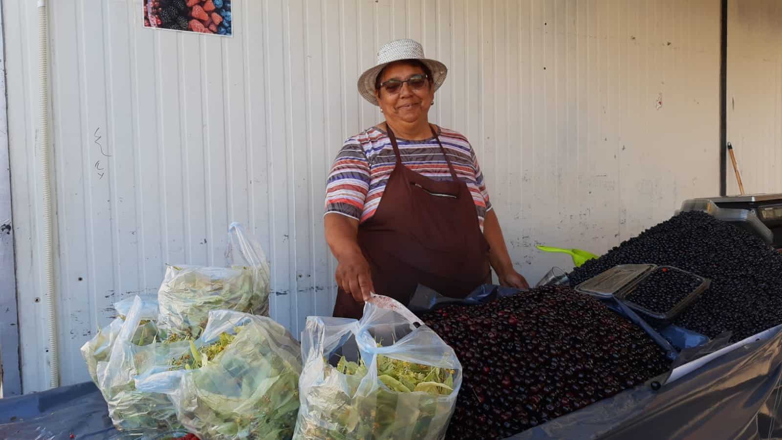 afine culese de la gura râului mai ieftine decât anul trecut și fragi cu 250 de lei kilogramul, în piața cibin (foto)