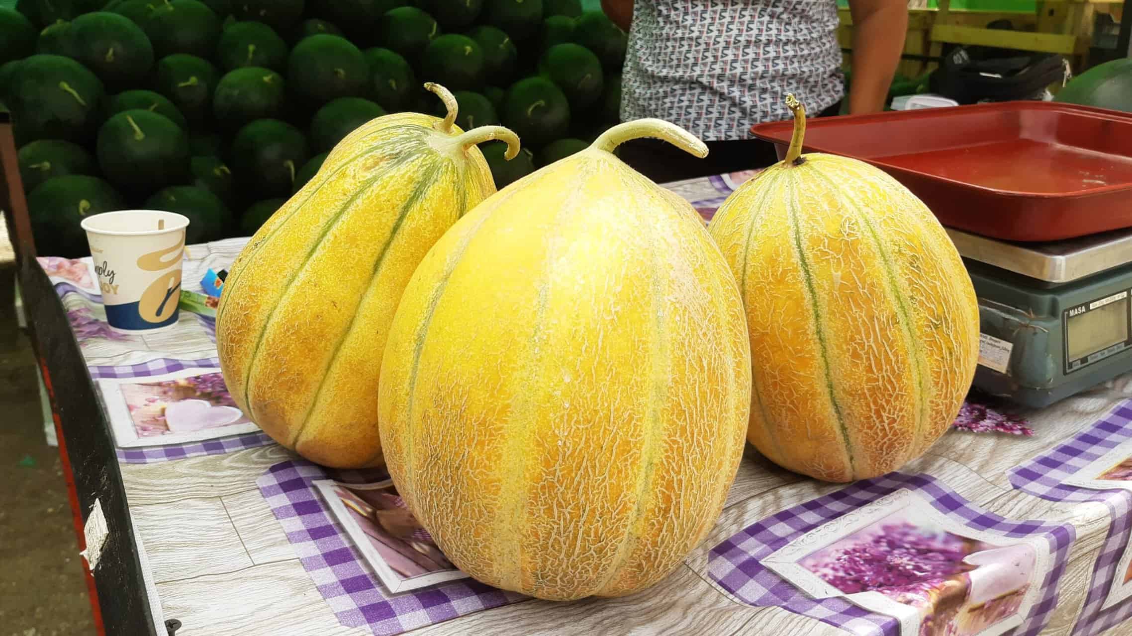 au apărut primii pepeni de dăbuleni în piața cibin și sunt mai dulci decât anul trecut (foto, video)