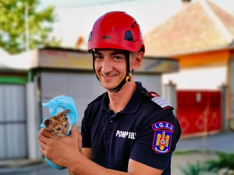 misiunea emoționantă a pompierilor sibieni de ziua internațională a pisicii