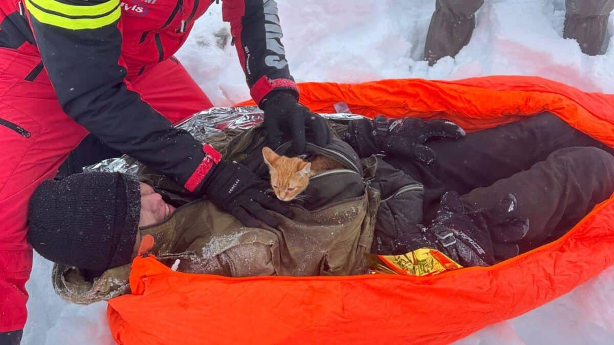refugiat ucrainean salvat din munții maramureșului. și-a purtat pisica la piept timp de 11 zile (video foto)