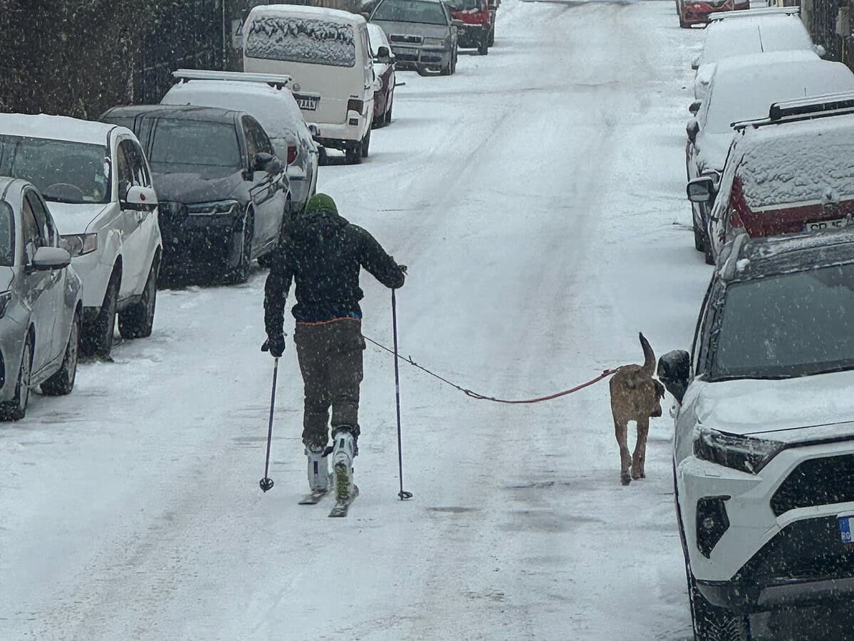 haz de necaz la sibiu. a ieșit cu schiurile la plimbare pe străzile înzăpezite (foto)