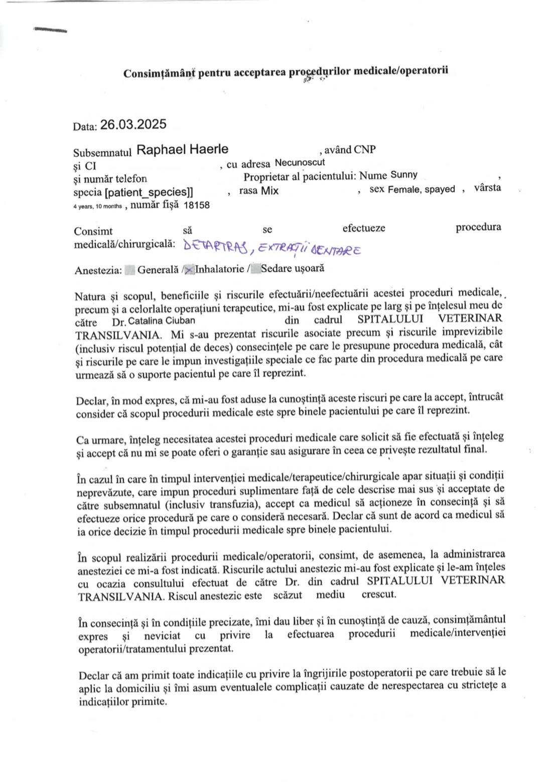 Doi sibieni acuză un cabinet veterinar că le-ar fi mutilat cățelul. Sunny a rămas fără 7 dinți (foto) doi sibieni acuză un cabinet veterinar că le-ar fi mutilat cățelul. sunny a rămas fără 7 dinți (foto)